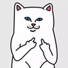 Miaow?