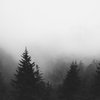 Agalloch