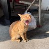 田昀