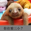 快乐儿童餐