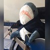 赖廷