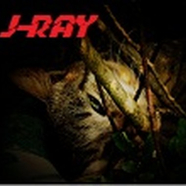 カンタレラ试唱