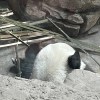 此处禁止放牧