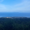 海