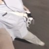 YN