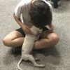 戴莲恩