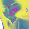 liangggg65