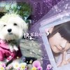 小小小、自豪