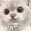 lily9194