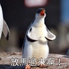 恩