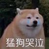 林一
