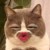 猫ㄇㄠ