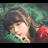 秀吉小太阳