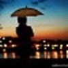 _浮躁敷衍浮世浮云