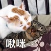 刘伊妮