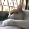 李俐花