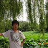 三人游