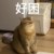 龙猫の守护神