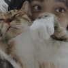 jiazhenluo