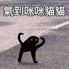 我想学贝斯ಥ_ಥ
