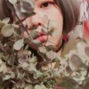 董玛雅