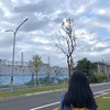 cyuuu0602