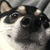 BrianLu