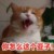 lucky_voice_gqu