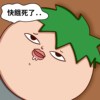 儒