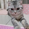 纶纶仔