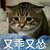 奶盐沐芋乳