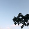 Hsuan