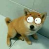 LUBX