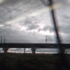 鸡宝