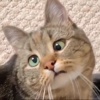 洛云生