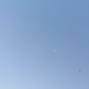 茻