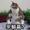 想吃海底捞