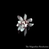 magnolian