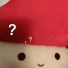 王HANI
