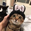 Kerker