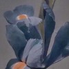 maomaomaooo