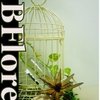 BFlores 花艺.设计