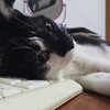 日常想退休