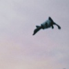 z7ero