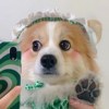 你是个好人