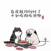 某高同学