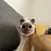 minxixixixi