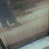 陈晓菁
