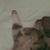milly_huang