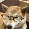 茗茗